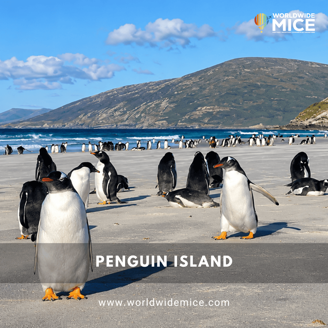 Penguin Island